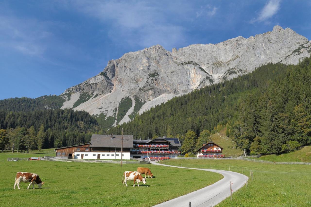 Feichtlehnerhof Bed & Breakfast Ramsau am Dachstein Exterior foto